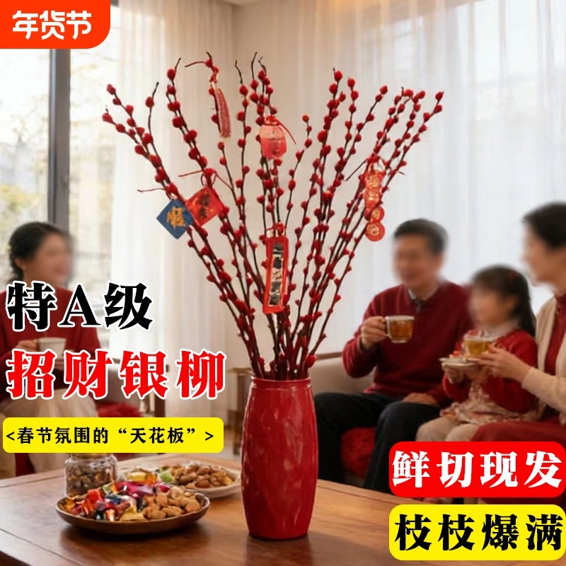 银柳真花鲜枝客厅摆件耐寒年宵花红色干花枝室内招财水培装饰花束,鲜花速递/花卉仿真/绿植园艺,时令草本花卉,淘宝优惠券,粉丝福利购,淘宝优惠卷