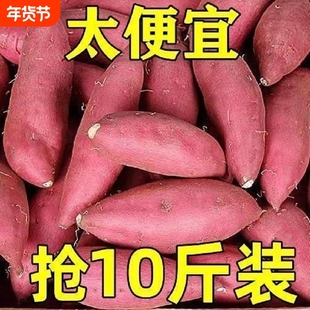 新鲜沙地蜜薯地瓜板栗红薯黄心番薯山芋农家自种现挖蜜薯软糯香甜