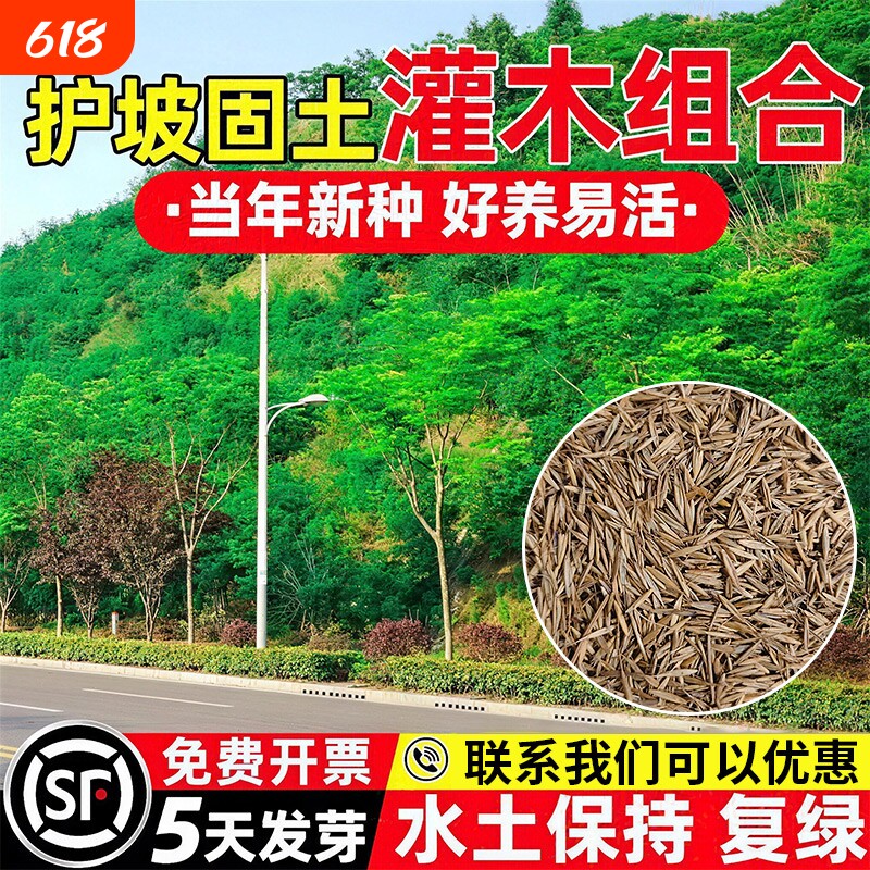 灌木草籽混播草种护坡固土生态修复耐贫瘠耐寒耐旱荒山复绿草种子