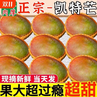 四川攀枝花凯特芒果新鲜10斤大果整箱水果现摘青皮芒果爆甜凯特芒