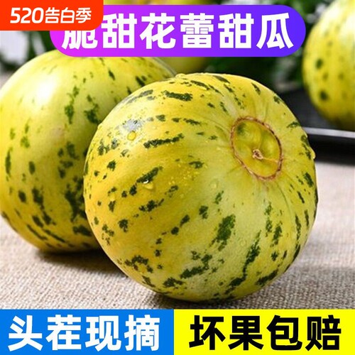 东北特产八里香甜瓜脆甜多汁花蕾水果新鲜现摘应季水果花美人香瓜