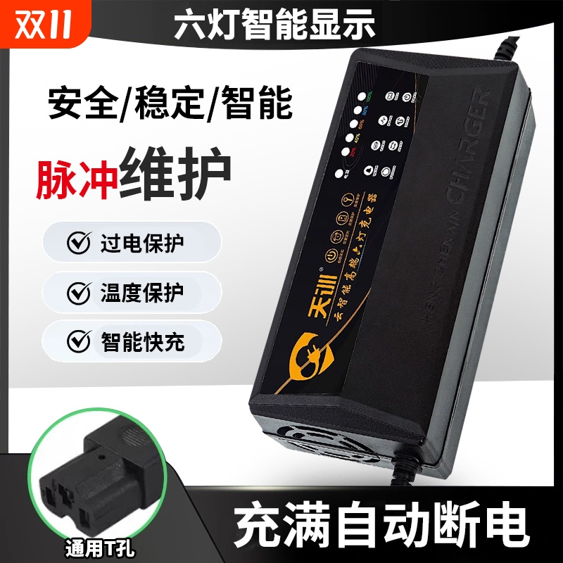 电动车48v12ah充电器适用爱玛