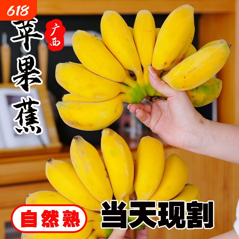 皇后正宗苹果蕉5斤粉香蕉新鲜自然熟当季水果粉蕉非小米蕉现摘