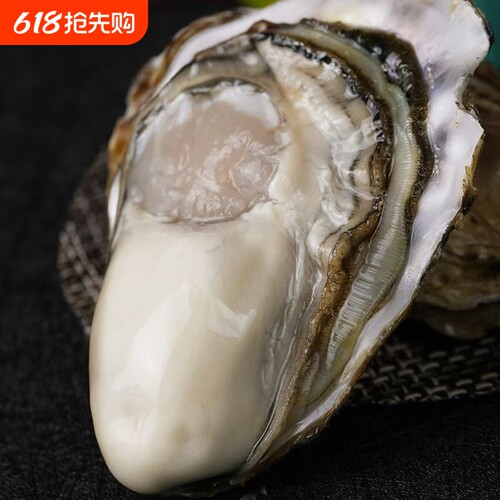 鲜活生蚝10斤特大号包邮新鲜海鲜牡蛎海蛎子水产贝类海鲜批发
