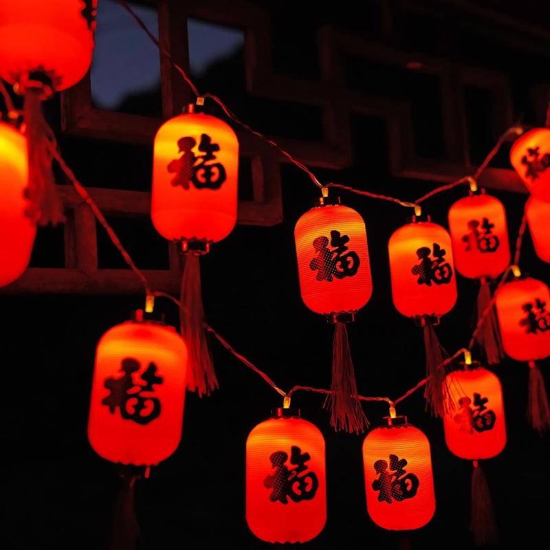 新年装饰灯2025过年彩灯闪灯串灯福字红灯笼挂树上氛围灯插电福袋
