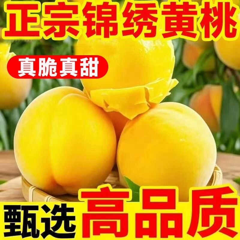 黄桃新鲜水果当季整箱黄金蜜锦绣黄毛桃应季孕妇水果桃子鲜甜多汁