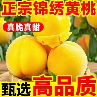 当季新鲜黄金蜜锦绣黄毛桃4.5斤