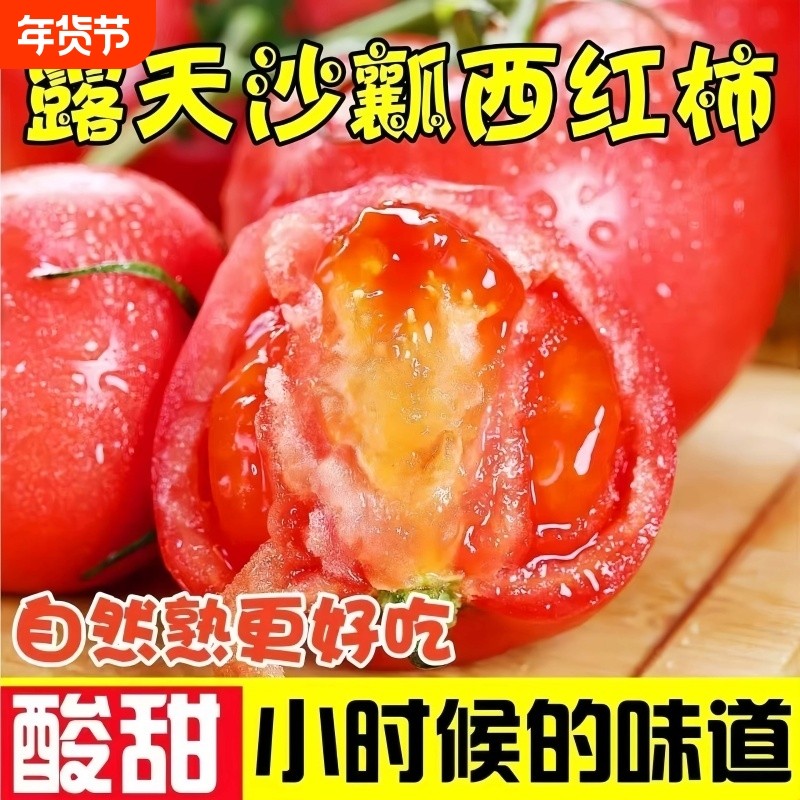 新鲜沙瓤西红柿自然熟红番茄现摘生态种植酸甜爆汁无农残新鲜小果,水产肉类/新鲜蔬果/熟食,番茄,淘宝优惠券,粉丝福利购,淘宝优惠卷