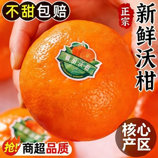 新鲜沃柑现摘应季 皮薄多汁甜 包邮 砂糖蜜柑4.5斤 整箱柑橘子应季