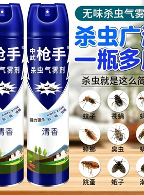 中武枪手杀虫剂气雾剂家用室内无毒除蟑螂药苍蝇灭蚊子喷雾剂强效
