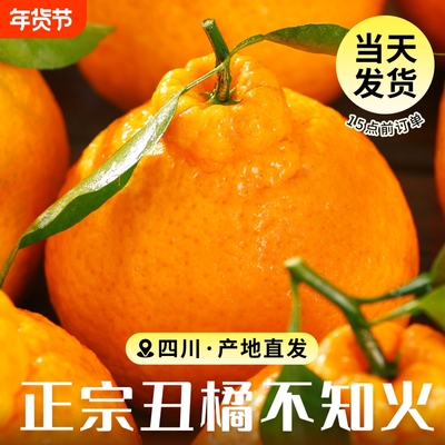 「商超品质」四川不知火丑橘现货
