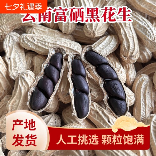 云南特产老品种黑花生带壳富硒黑皮花生新货散装