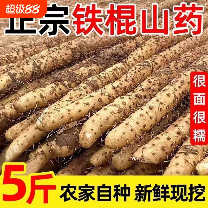 新鲜铁棍山药5斤|超3000次加购