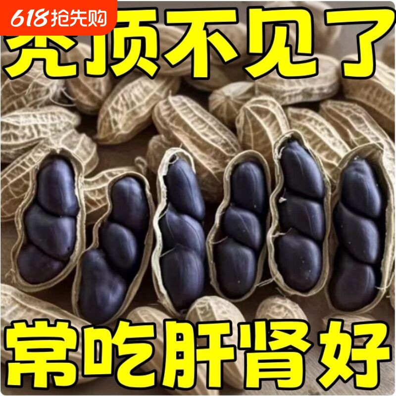 富硒黑花生云南特产官方旗舰店带壳生的农家新货黑皮花生大粒晒干