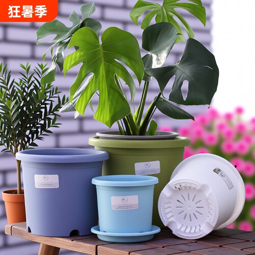 Deepot加仑盆控根|千人回购