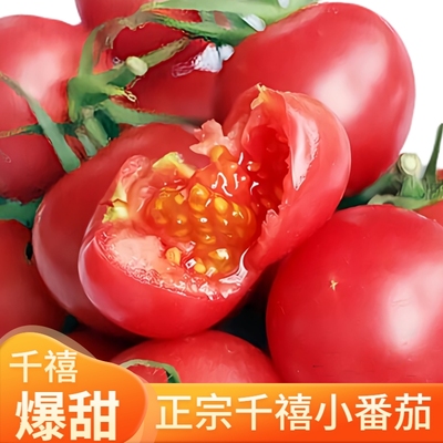 【正宗千禧果】广西千禧小番茄小西红柿新鲜孕妇水果樱桃圣女果