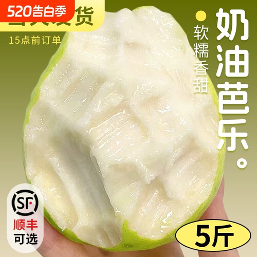 广西白心芭乐冰淇淋口感番石榴