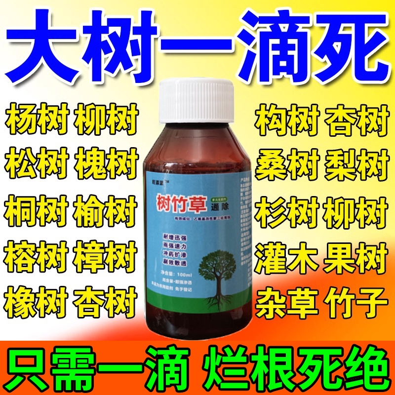 强力除烂根树腐药树根大树杀根的专用剂针枯树王灭粉树一滴死专用