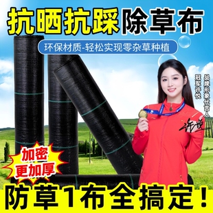 防草布遮草布抗老化果园果树防长草盖草布农用地布耐用透气保湿