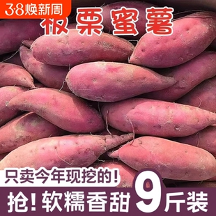 现挖龙九蜜薯地瓜红薯新鲜番薯红心板栗自种山芋西瓜香甜年货节