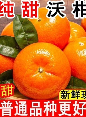云南高山沃柑新鲜水果年货当季9斤整箱沙糖蜜橘砂糖柑橘皮薄易剥