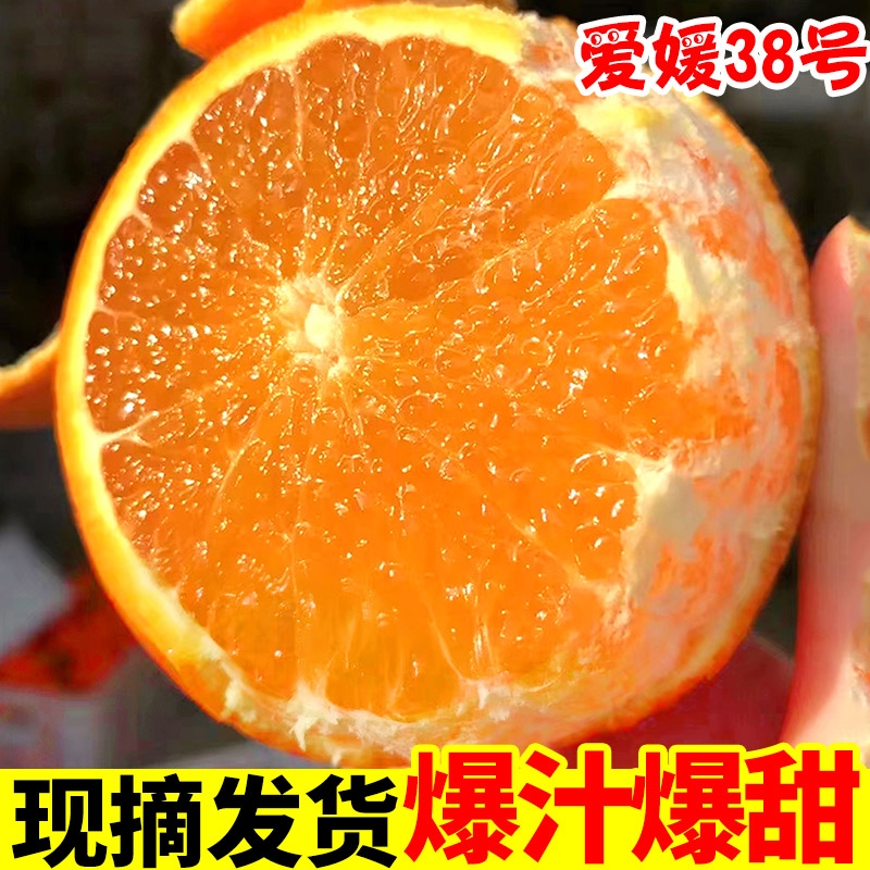 正宗四川爱媛38号果冻橙新鲜孕妇水果应当季橙子爆甜现摘现发眉山