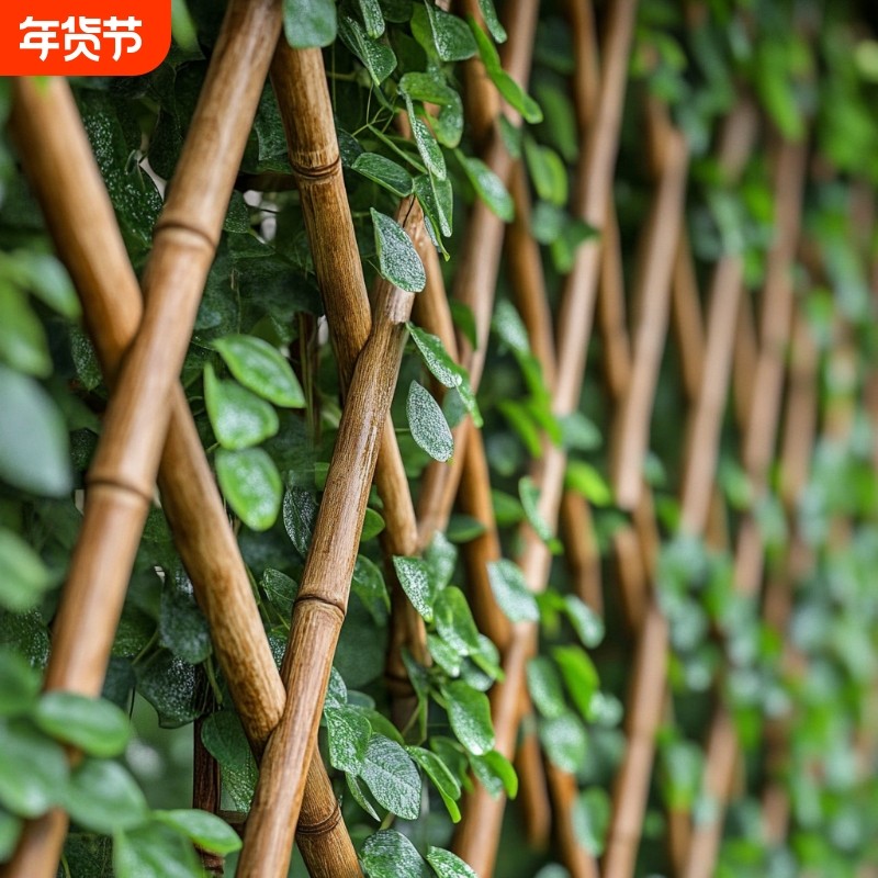 竹竿菜园搭架竹子杆角架杆子菜架竹篱笆栅栏围栏黄瓜爬藤架葡萄架,鲜花速递/花卉仿真/绿植园艺,栅栏,淘宝优惠券,粉丝福利购,淘宝优惠卷