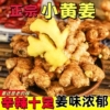 现挖云南小黄姜4.5斤生姜