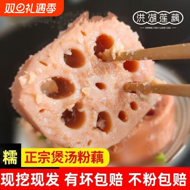 2025湖北洪湖新藕粉藕新鲜莲藕现挖糯米藕煲汤炖汤软糯现挖现发藕