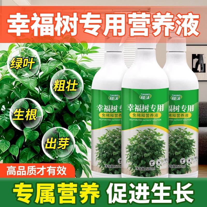 幸福树专用营养液干枯落叶掉叶子急救肥料室内黄叶植物通用营养液