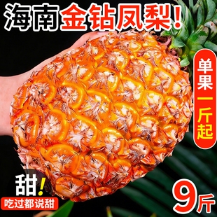 海南金钻凤梨新鲜水果树上熟芒果凤梨香水菠萝大果无眼整箱包邮