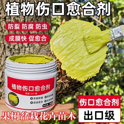 树木果树伤口愈合剂嫁接愈合膏植物树皮盆景切口专用涂膜剂修剪