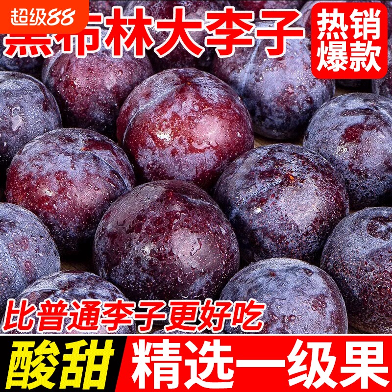 新鲜黑布林大李子现摘当季水果黑新鲜应季酸甜脆李黑宝石黄肉李子
