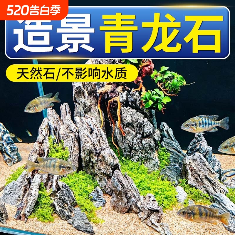 鱼缸造景青龙石头松皮石底部砂石装饰摆件假山天然生态套餐盆景观