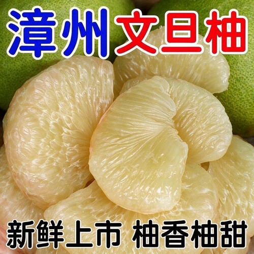 皮厚 漳州文旦柚 爆汁 无虾线 爆汁文旦柚 蜜柚新鲜水果当季整箱