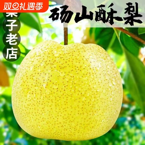 酥梨砀山梨汤山梨10斤现摘梨子香雪梨应季水果梨新鲜整箱包邮新鲜