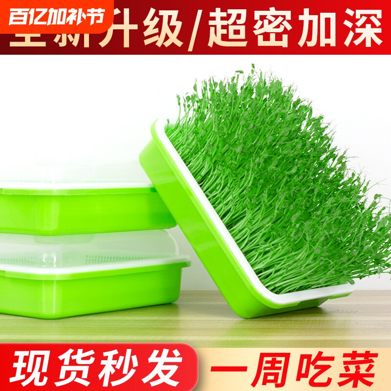 豆芽发芽盆无土栽培蔬菜水培豌豆苗设备种植架托家用芽苗菜育苗盘