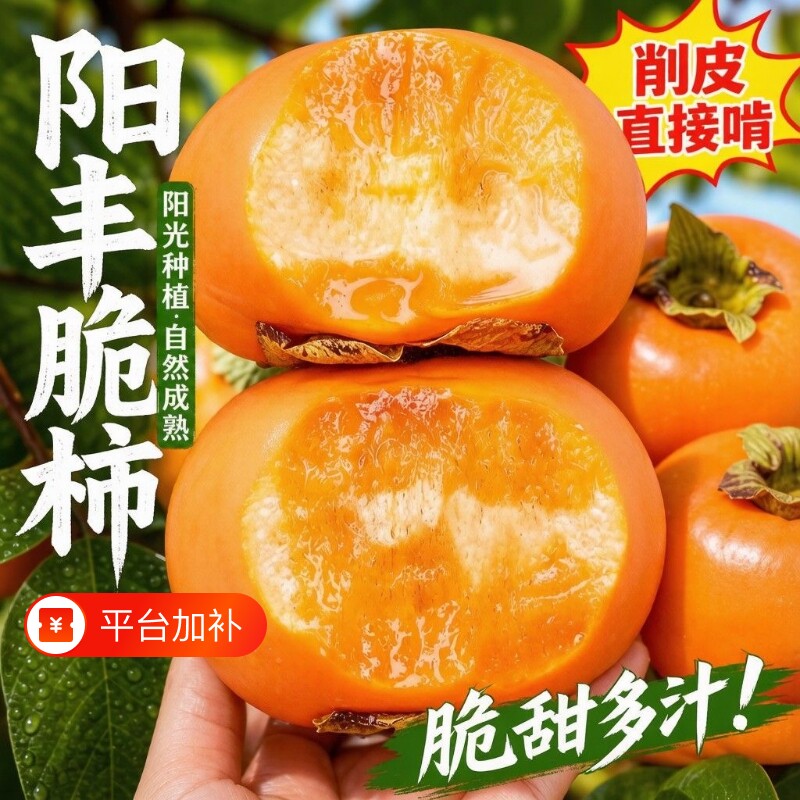 正宗山西巧克力黑糖脆柿子新鲜水果应季甜柿当季脆柿硬柿脆甜品种