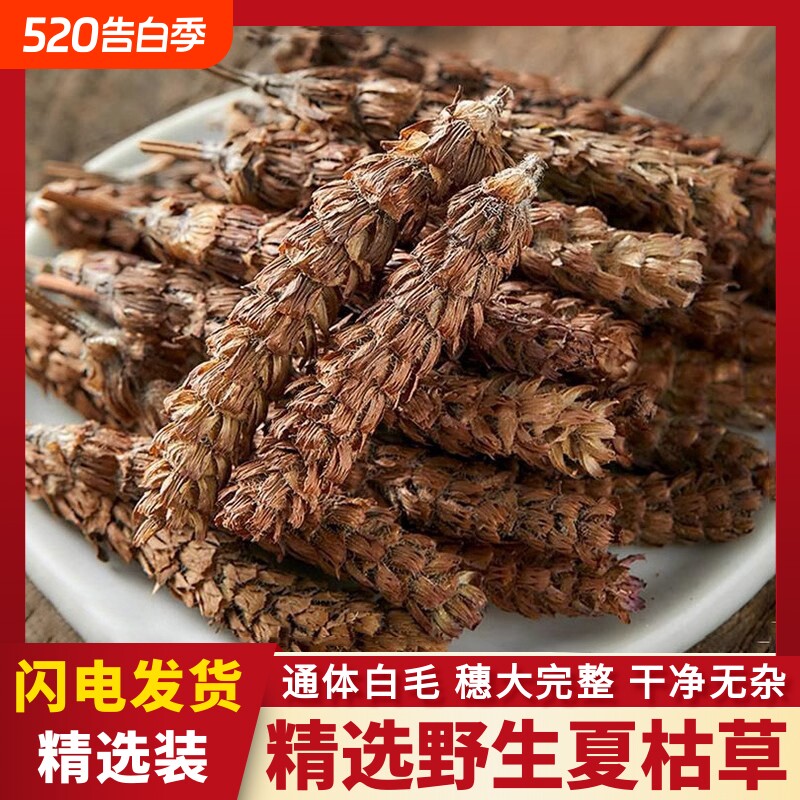 野生夏枯草中草药材白毛夏枯球泡水喝草夏菇草夏谷草新鲜中药菊花