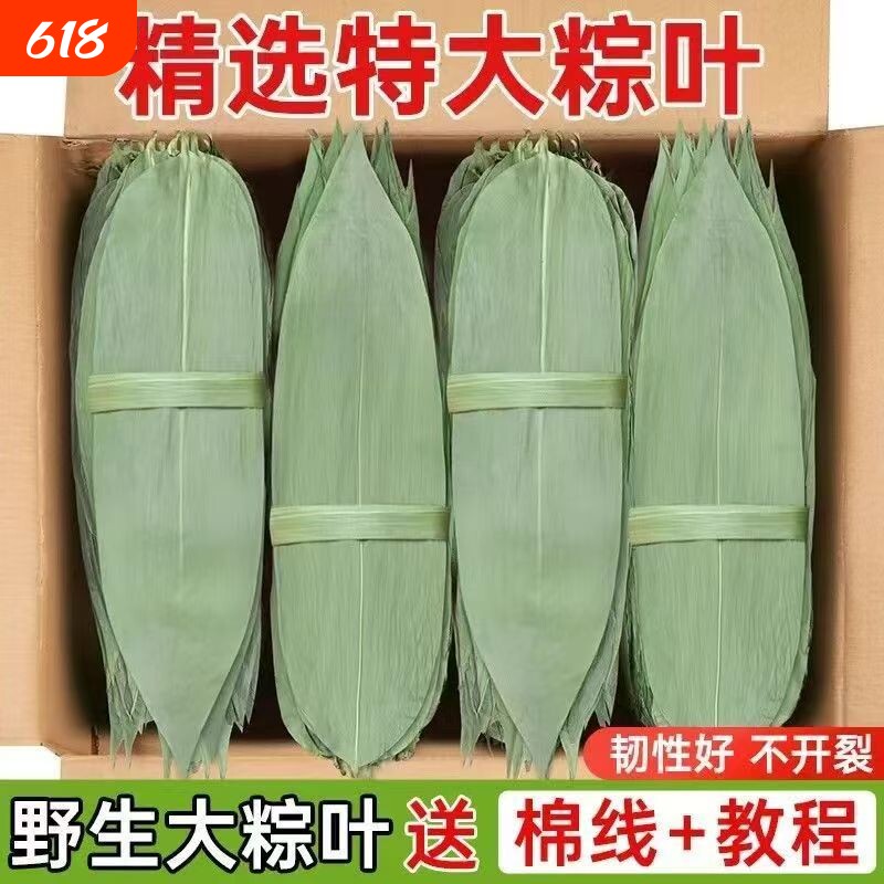 粽叶新鲜粽子叶干叶大号现货特大包粽子的叶子商用棕叶批发价家用