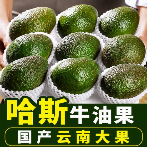 新鲜牛油果国产云南哈斯高山老农种植宝宝奶油水果包邮大果好吃