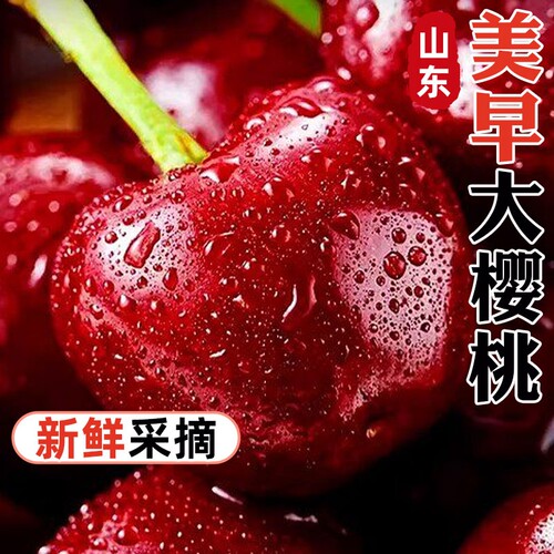 山东美早大樱桃新鲜水果包邮5斤礼盒当季整箱3j国产孕妇5j车厘子4