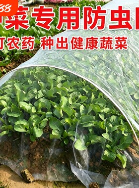 防虫网种菜专用拱棚支架菜园农用加厚纱网尼龙网80目大棚蔬菜玻璃