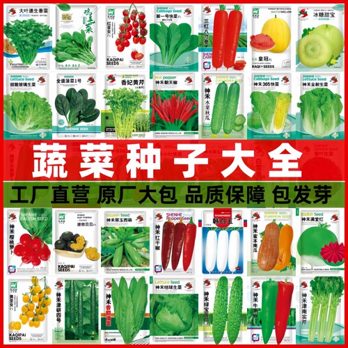 蔬菜种子四季播辣椒西瓜籽孑香菜春季蔬菜大全菠菜四季豆番茄白菜 - 封面