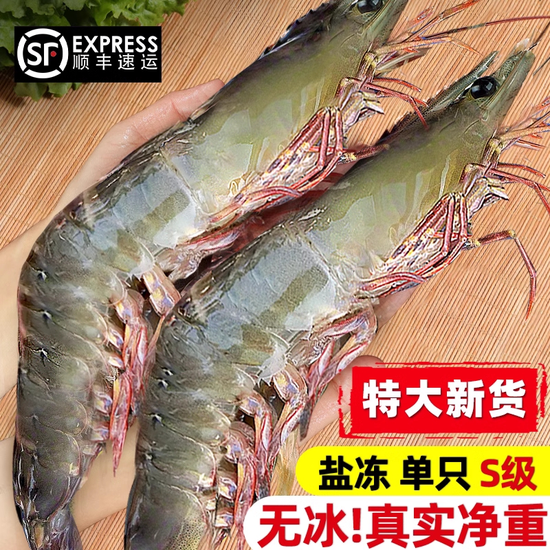 鲜活大虾特大青岛基围虾新鲜盐冻白虾速冻海虾非青虾年货海鲜水产