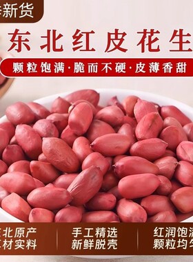 2025东北红衣生花生米新货四粒红
