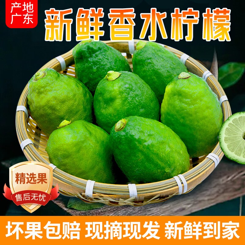 正宗香水柠檬鲜果奶茶店专用广东新鲜水果无籽一级果青柠檬鲜柠檬