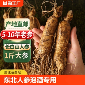 人参长白山野山参泡酒专用鲜人参东北正品官方旗舰店新鲜人叁煲汤