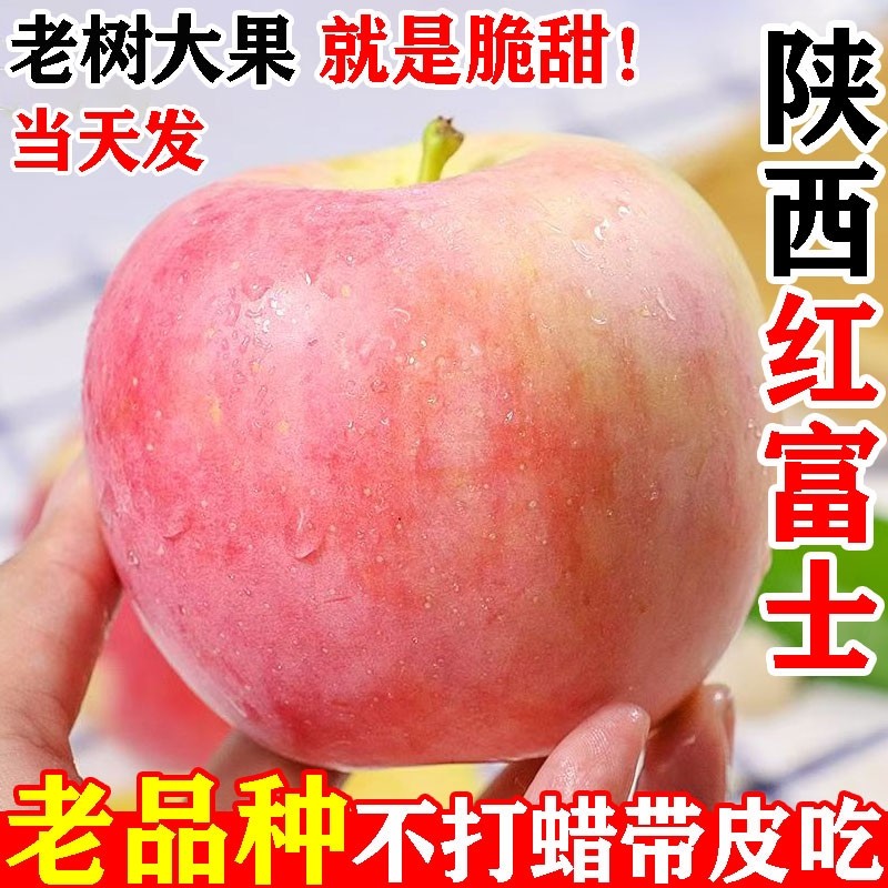 陕西红富士苹果水果新鲜洛川产地直发当季整箱冰糖心丑甜现摘现发