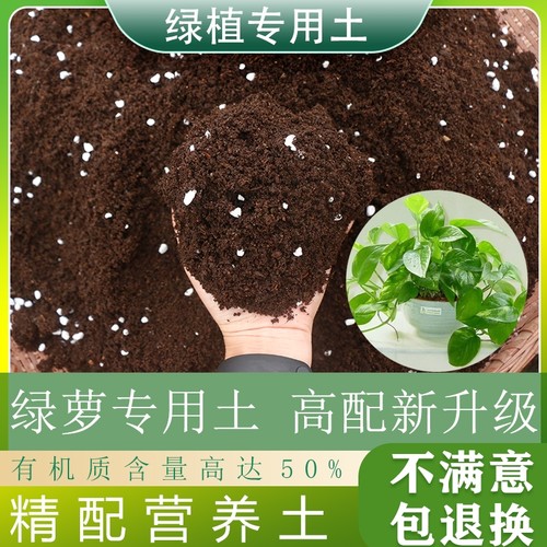 绿萝专用酸性营养土|千人加购